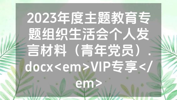 2023年度主题教育专题组织生活会个人发言材料（青年党员）.docx<em>VIP专享</em>