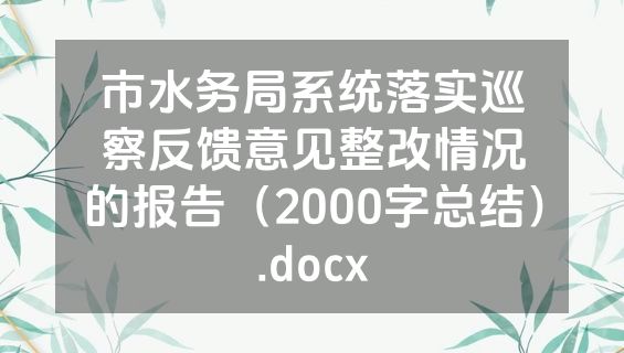 市水务局系统落实巡察反馈意见整改情况的报告（2000字总结）.docx