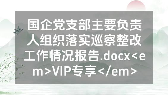 国企党支部主要负责人组织落实巡察整改工作情况报告.docx<em>VIP专享</em>
