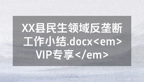 XX县民生领域反垄断工作小结.docx<em>VIP专享</em>