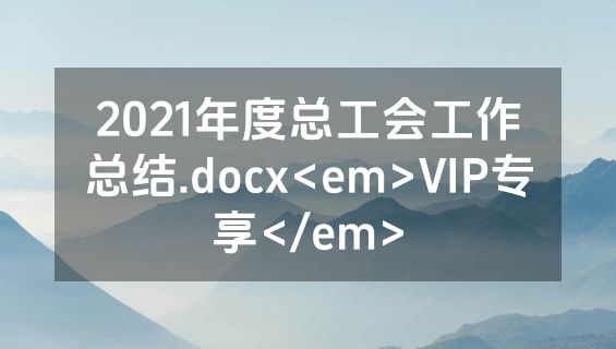 2021年度总工会工作总结.docx<em>VIP专享</em>