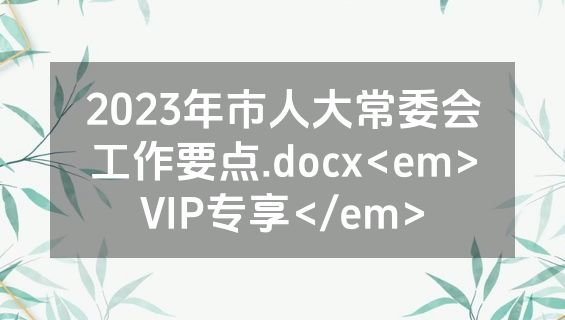 2023年市人大常委会工作要点.docx<em>VIP专享</em>