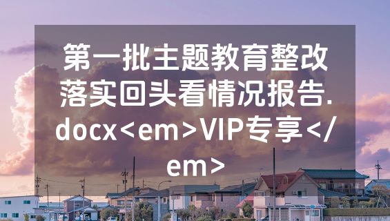 第一批主题教育整改落实回头看情况报告.docx<em>VIP专享</em>