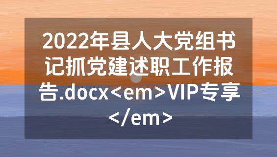 2022年县人大党组书记抓党建述职工作报告.docx<em>VIP专享</em>