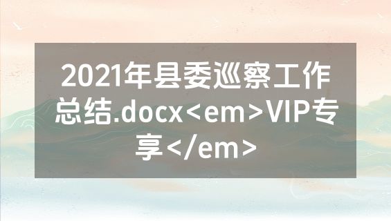 2021年县委巡察工作总结.docx<em>VIP专享</em>