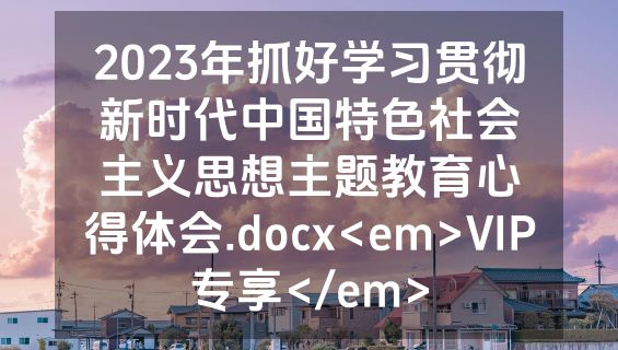 2023年抓好学习贯彻新时代中国特色社会主义思想主题教育心得体会.docx<em>VIP专享</em>