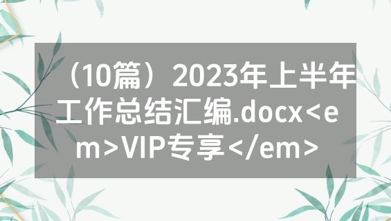 （10篇）2023年上半年工作总结汇编.docx<em>VIP专享</em>