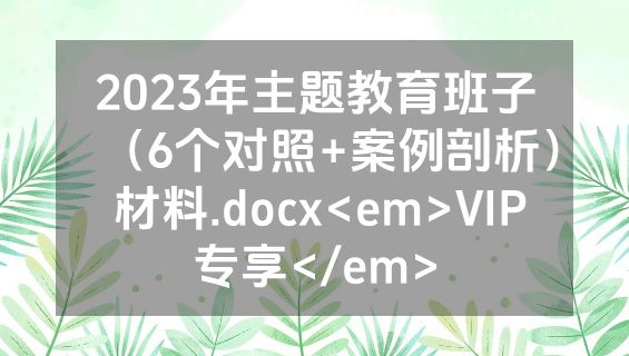 2023年主题教育班子（6个对照+案例剖析） 材料.docx<em>VIP专享</em>
