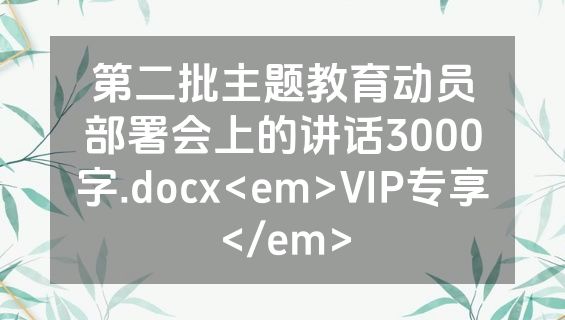 第二批主题教育动员部署会上的讲话3000字.docx<em>VIP专享</em>