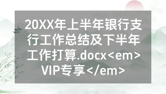 20XX年上半年银行支行工作总结及下半年工作打算.docx<em>VIP专享</em>