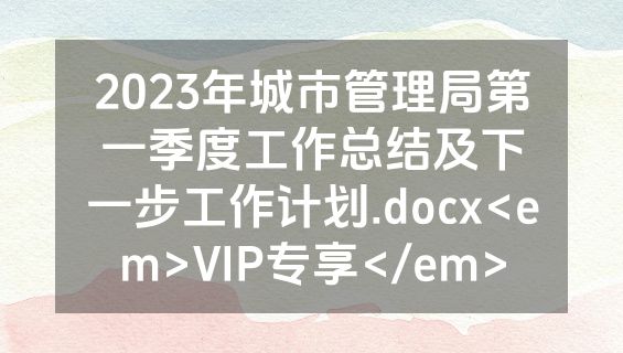 2023年城市管理局第一季度工作总结及下一步工作计划.docx<em>VIP专享</em>
