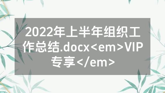 2022年上半年组织工作总结.docx<em>VIP专享</em>