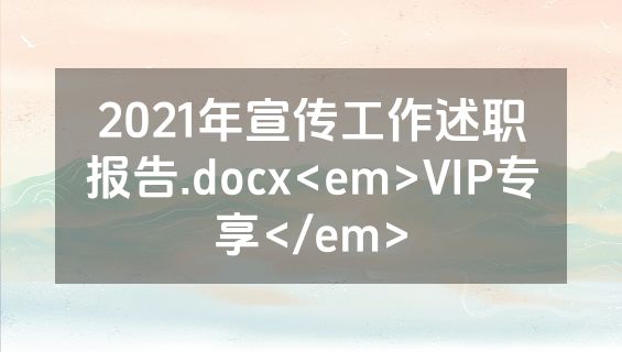 2021年宣传工作述职报告.docx<em>VIP专享</em>