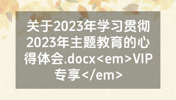关于2023年学习贯彻2023年主题教育的心得体会.docx<em>VIP专享</em>