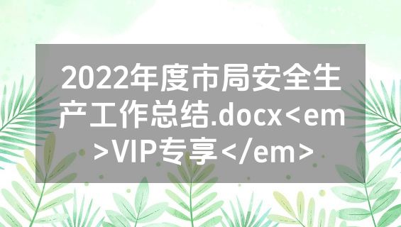 2022年度市局安全生产工作总结.docx<em>VIP专享</em>