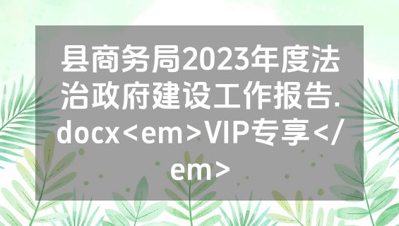 县商务局2023年度法治政府建设工作报告.docx<em>VIP专享</em>