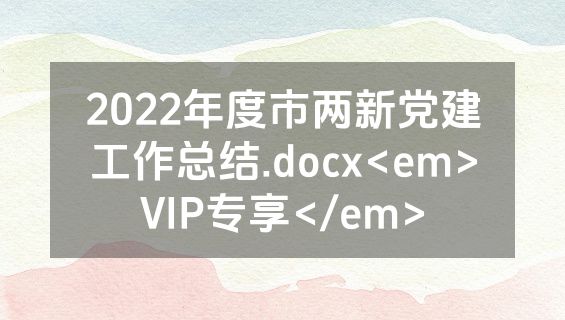 2022年度市两新党建工作总结.docx<em>VIP专享</em>