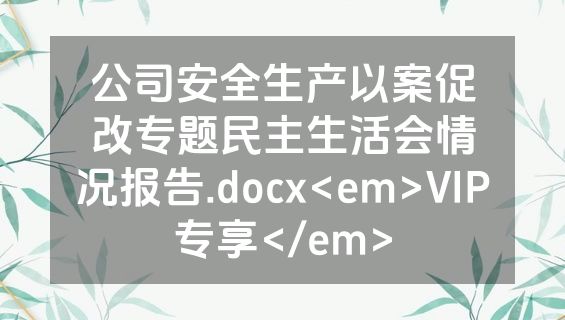 公司安全生产以案促改专题民主生活会情况报告.docx<em>VIP专享</em>