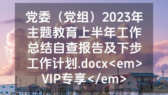 党委（党组）2023年主题教育上半年工作总结自查报告及下步工作计划.docx<em>VIP专享</em>