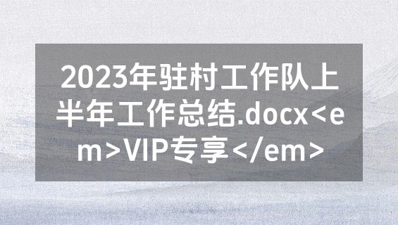 2023年驻村工作队上半年工作总结.docx<em>VIP专享</em>