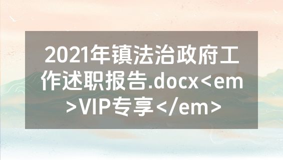 2021年镇法治政府工作述职报告.docx<em>VIP专享</em>
