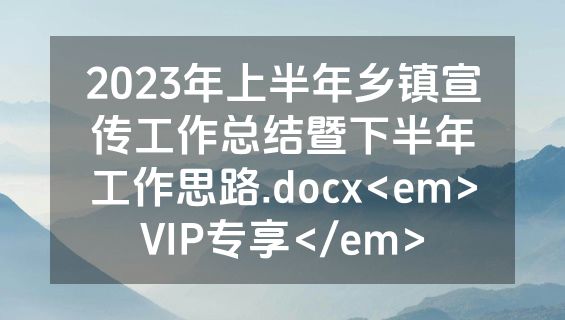 2023年上半年乡镇宣传工作总结暨下半年工作思路.docx<em>VIP专享</em>