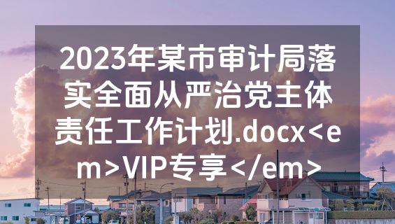 2023年某市审计局落实全面从严治党主体责任工作计划.docx<em>VIP专享</em>