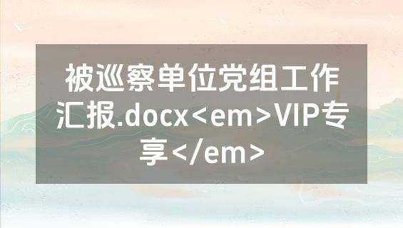 被巡察单位党组工作汇报.docx<em>VIP专享</em>