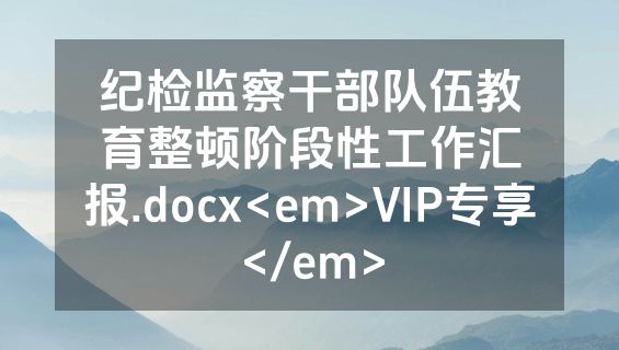 纪检监察干部队伍教育整顿阶段性工作汇报.docx<em>VIP专享</em>