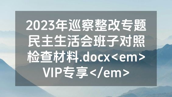2023年巡察整改专题民主生活会班子对照检查材料.docx<em>VIP专享</em>