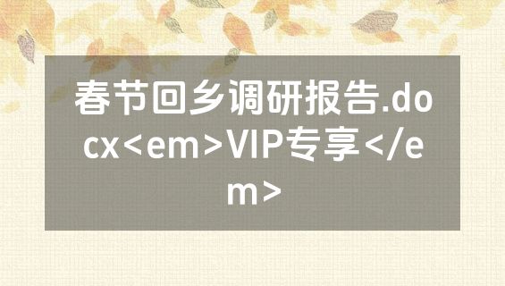 春节回乡调研报告.docx<em>VIP专享</em>