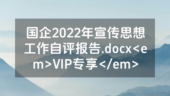 国企2022年宣传思想工作自评报告.docx<em>VIP专享</em>