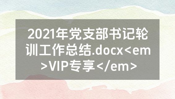 2021年党支部书记轮训工作总结.docx<em>VIP专享</em>