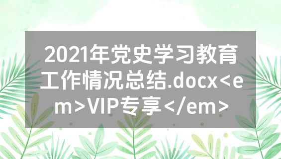 2021年党史学习教育工作情况总结.docx<em>VIP专享</em>