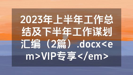 2023年上半年工作总结及下半年工作谋划汇编（2篇）.docx<em>VIP专享</em>