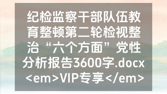 纪检监察干部队伍教育整顿第二轮检视整治“六个方面”党性分析报告3600字.docx<em>VIP专享</em>