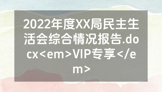 2022年度XX局民主生活会综合情况报告.docx<em>VIP专享</em>