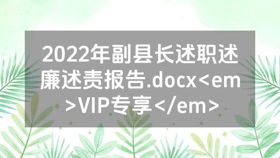 2022年副县长述职述廉述责报告.docx<em>VIP专享</em>