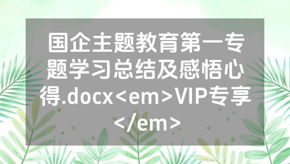 国企主题教育第一专题学习总结及感悟心得.docx<em>VIP专享</em>