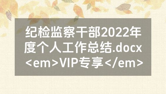 纪检监察干部2022年度个人工作总结.docx<em>VIP专享</em>