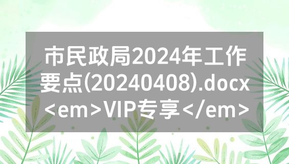 市民政局2024年工作要点(20240408).docx<em>VIP专享</em>