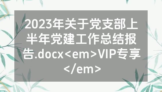 2023年关于党支部上半年党建工作总结报告.docx<em>VIP专享</em>