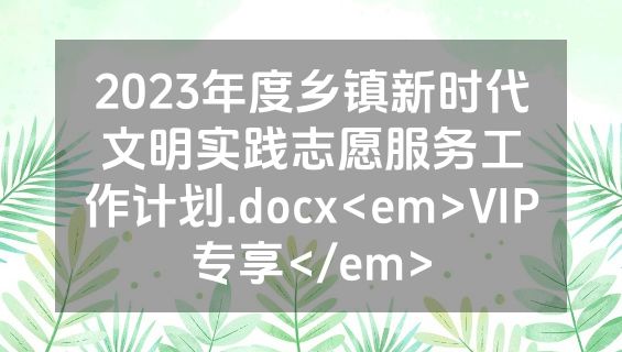 2023年度乡镇新时代文明实践志愿服务工作计划.docx<em>VIP专享</em>