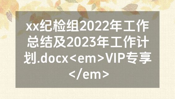 xx纪检组2022年工作总结及2023年工作计划.docx<em>VIP专享</em>