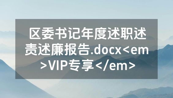 区委书记年度述职述责述廉报告.docx<em>VIP专享</em>