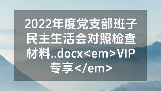 2022年度党支部班子民主生活会对照检查材料..docx<em>VIP专享</em>