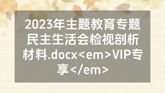 2023年主题教育专题民主生活会检视剖析材料.docx<em>VIP专享</em>