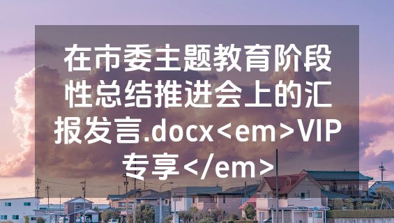 在市委主题教育阶段性总结推进会上的汇报发言.docx<em>VIP专享</em>