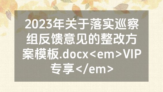 2023年关于落实巡察组反馈意见的整改方案模板.docx<em>VIP专享</em>