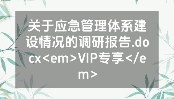 关于应急管理体系建设情况的调研报告.docx<em>VIP专享</em>